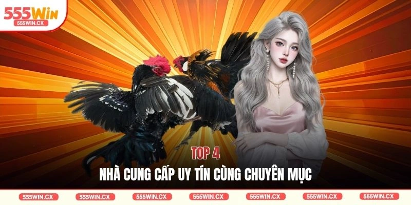 Đá Gà 555WIN Với 3 Sảnh Cược Trực Tuyến Hấp Dẫn 2026