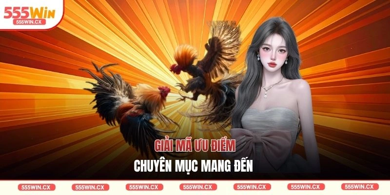 Đá Gà 555WIN Với 3 Sảnh Cược Trực Tuyến Hấp Dẫn 2026