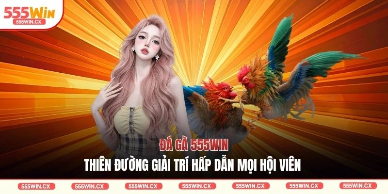 Đá Gà 555WIN Với 3 Sảnh Cược Trực Tuyến Hấp Dẫn 2026
